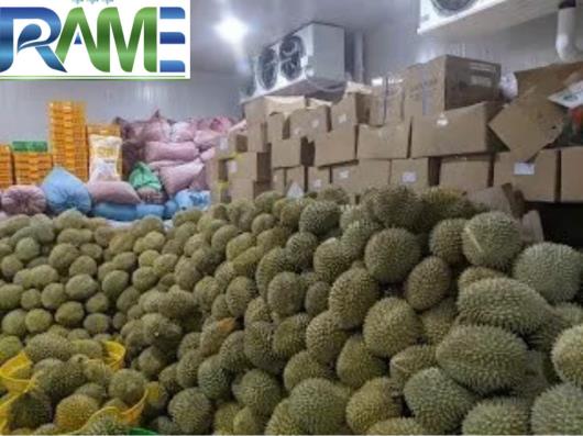 Kho Lạnh Bảo Quản Sầu Riêng